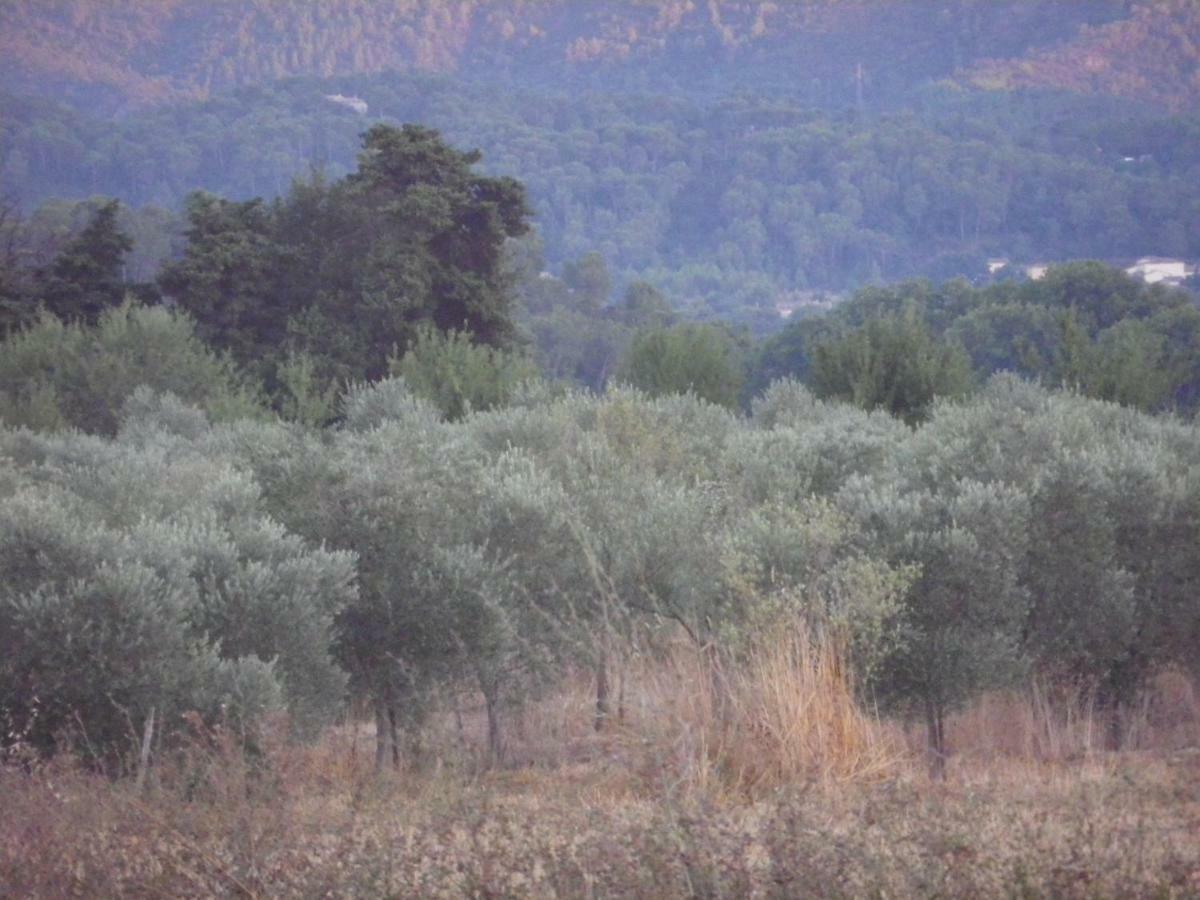 شقة Domaine De Camp Joyeux Puget-Ville المظهر الخارجي الصورة